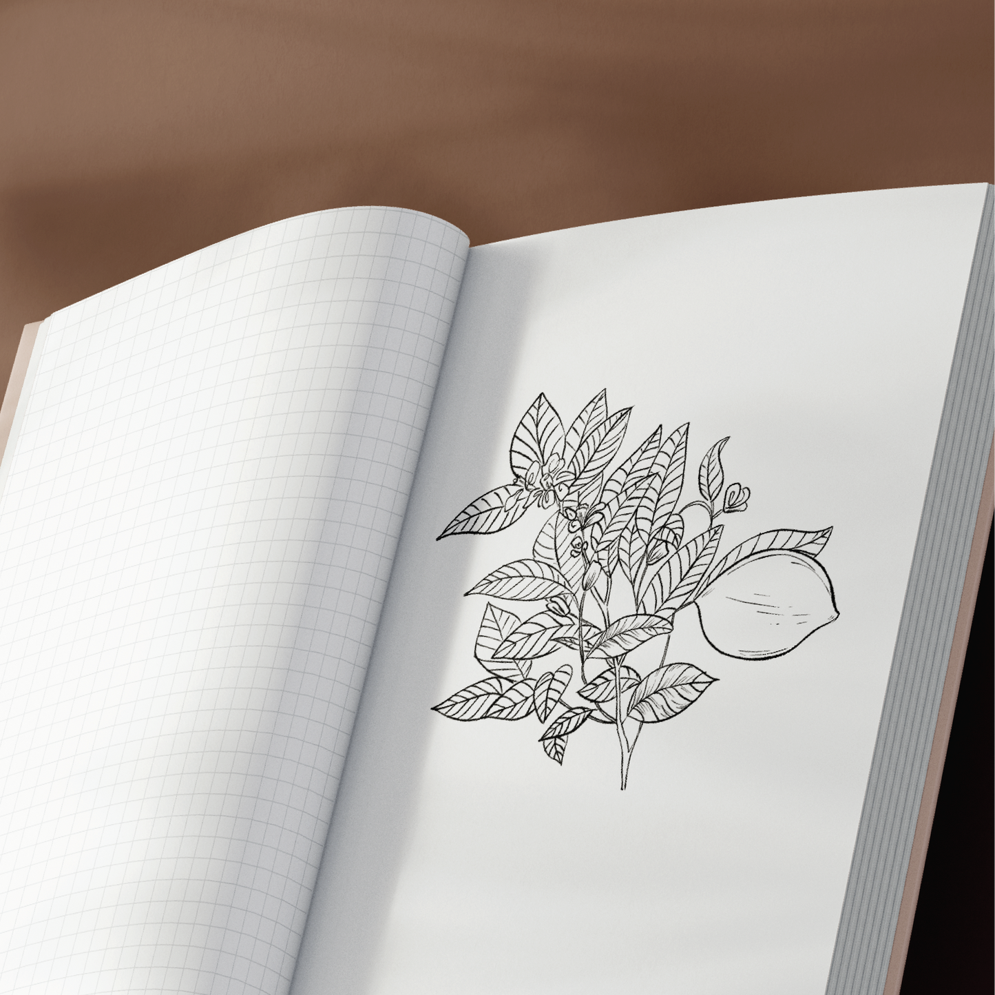 2026 Un-Dated Planner